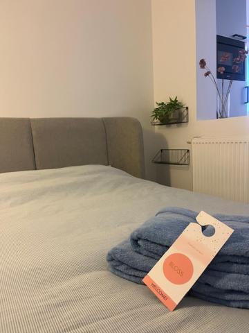 Bloss Iii Zonnige Met Dakterras * Gante