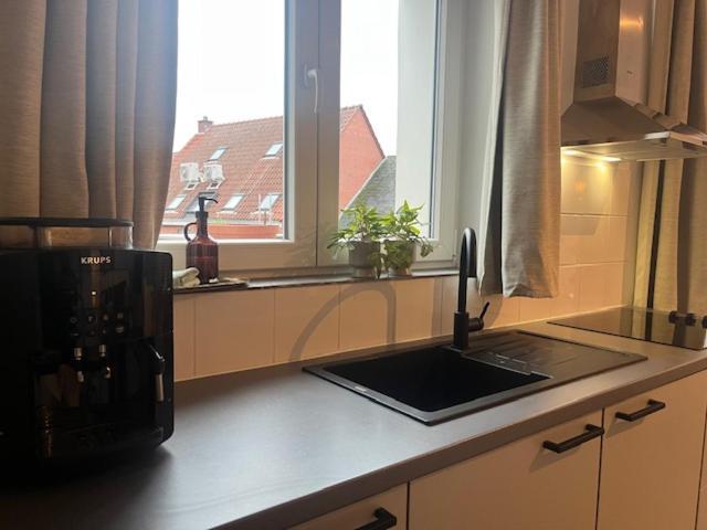 Bloss Iii Zonnige Met Dakterras Gante